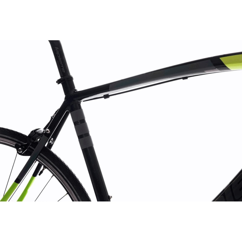 The Beam Frame Flash 2.0-BLACK RAINBOW