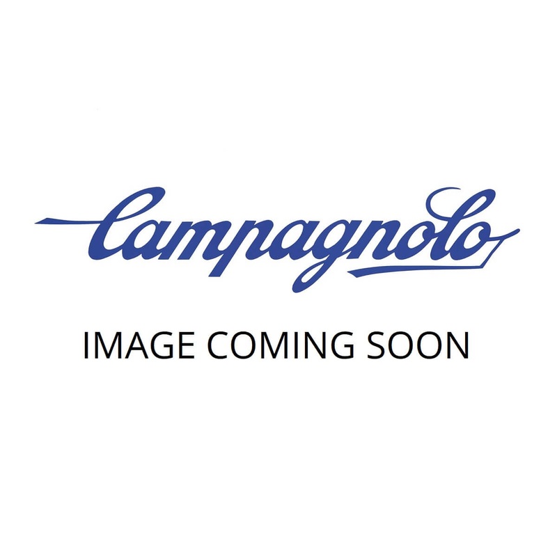 Campagnolo C3 Rotor 6-Bolt – DB-160C3-6B