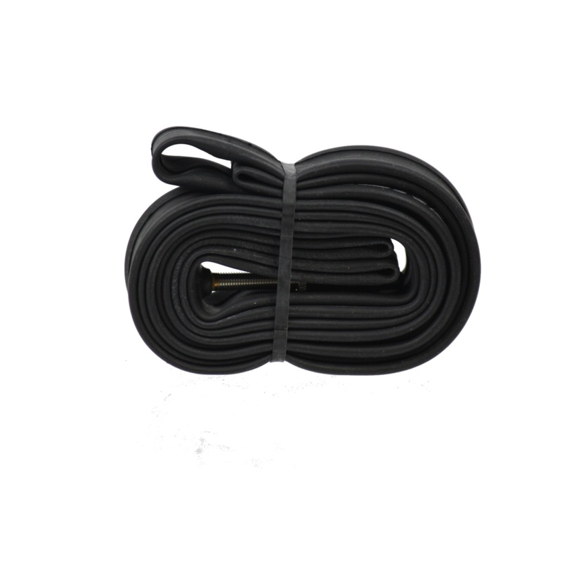 Dsi Tube 700×19/23c Pv 60Mm