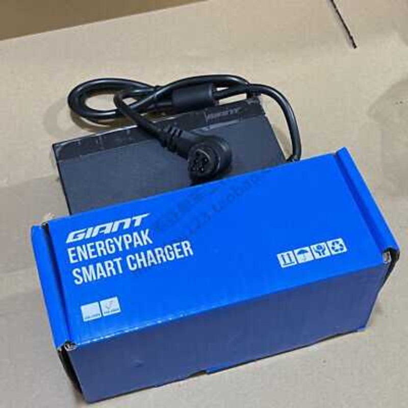 Giant Ebike Charger 544Q270Ca04