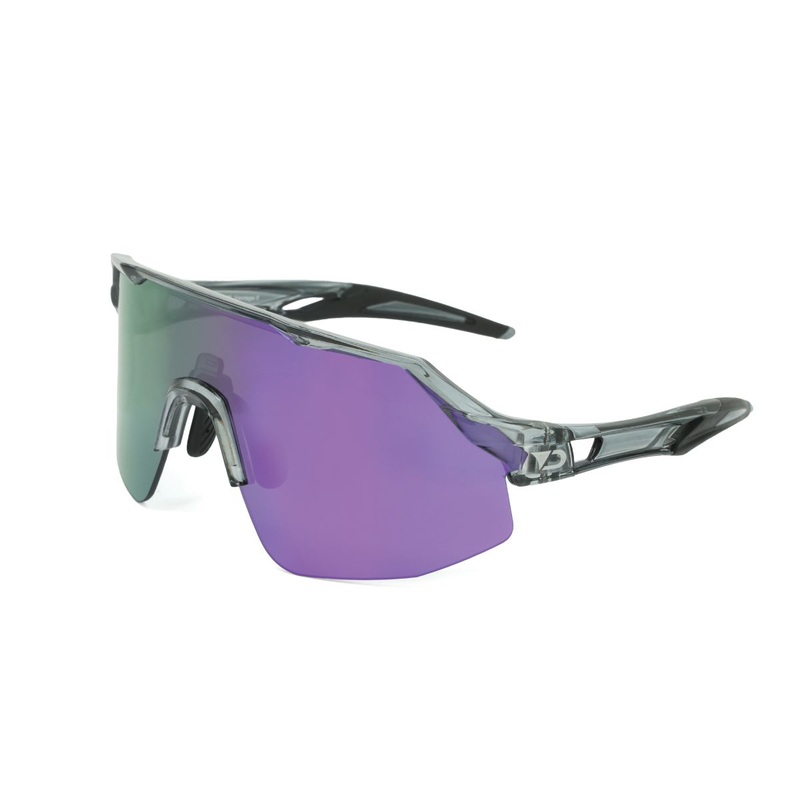 Darcs Sunglasses Vantage 2 F-Crystal/Smoke L-Purple Revo