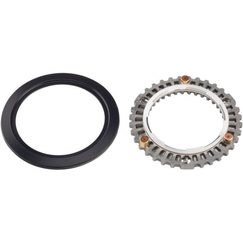 Zipp Cognition NSW Clutch Assembly and Seal