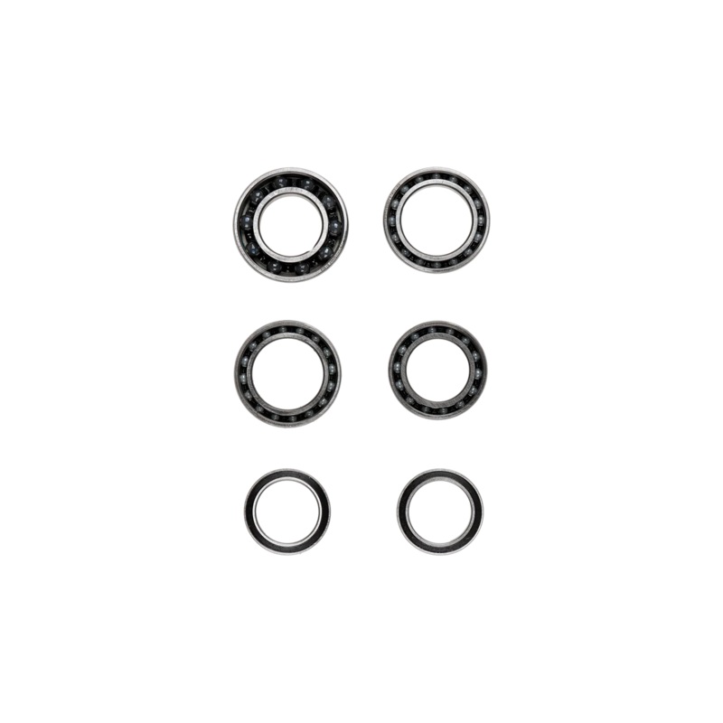 CeramicSpeed Wheel Bearing Upgrade Kit: DT-2 Standard Bearing