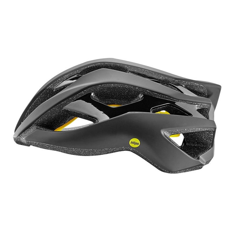 GIANT REV MIPS Helmet (Sale)-L