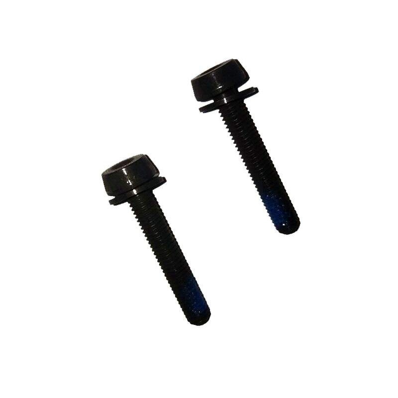 Campagnolo Screw 44Mm Rear 2P