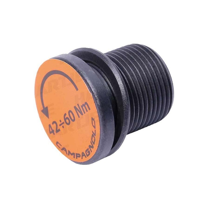 Campagnolo FC-SR008 Ti 12s Ultra-Torque Bolt