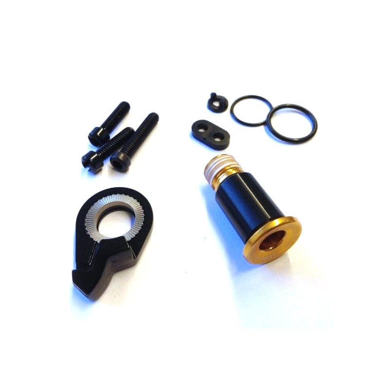 XX1 Eagle Rear Derailleur B-Bolt & Limit Screw Kit Gold