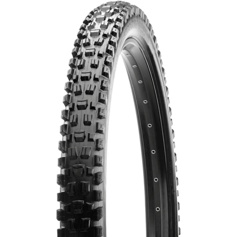 Maxxis Assegai Tire – 29 x 2.5, Tubeless, Folding, Black, Dual, EXO, WT