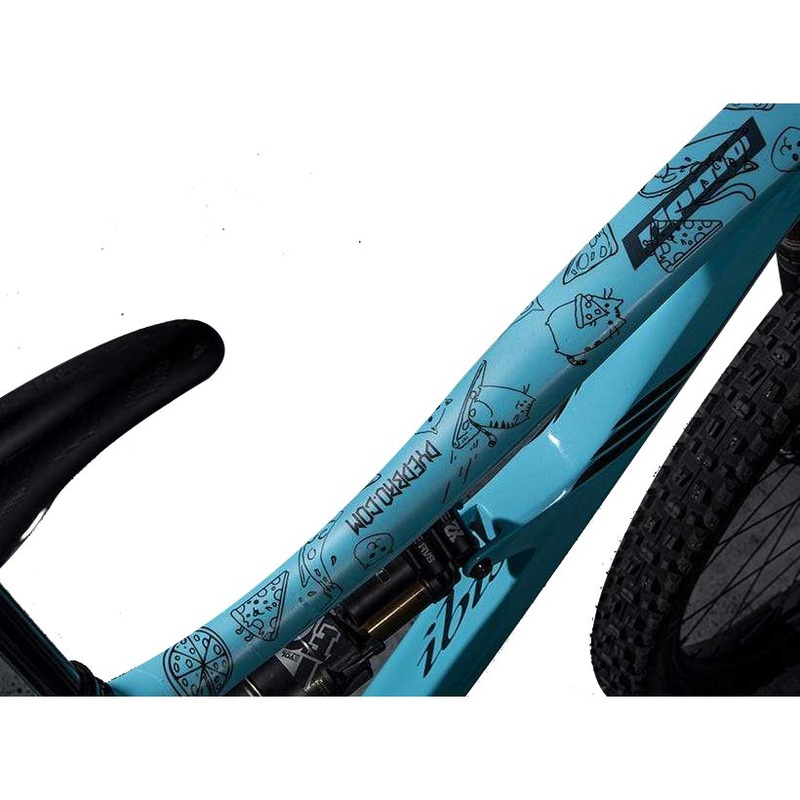 DYEDBRO Frame Protection – Black Cats